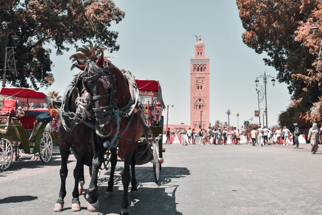 agence de voyage Marrakech
