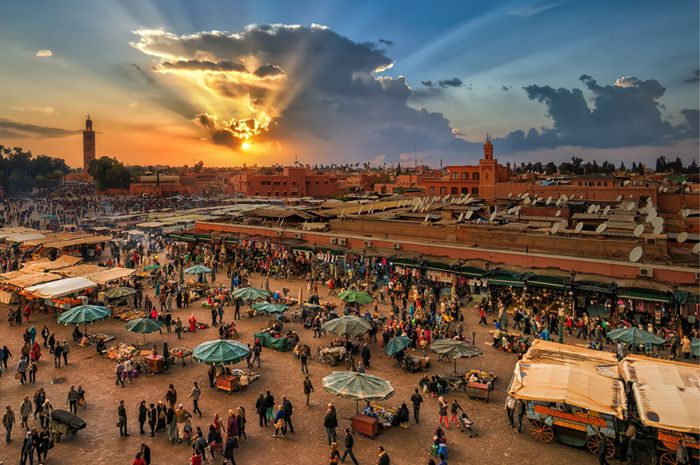 day trips from Marrakech