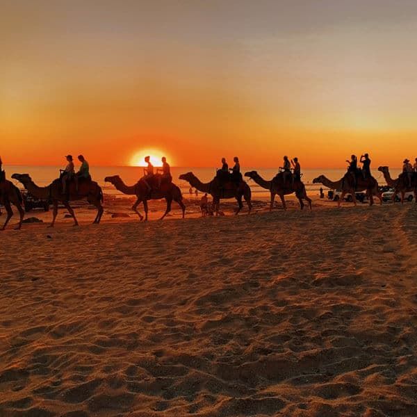 Morocco travel agency